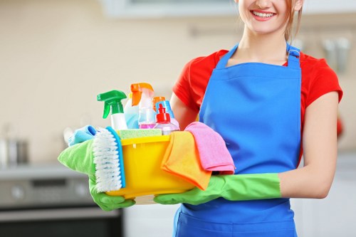 Professional upholstery cleaning for a sofa in SW18