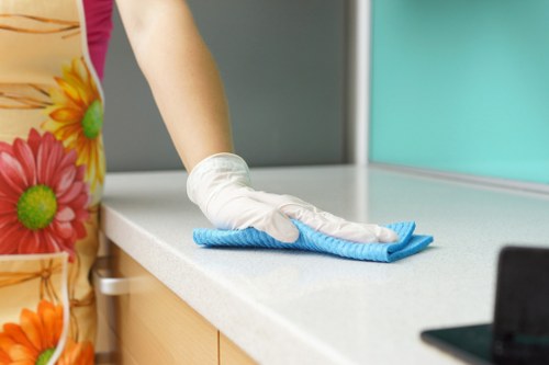 Window cleaning service for homes in SW18 with clear exterior glass