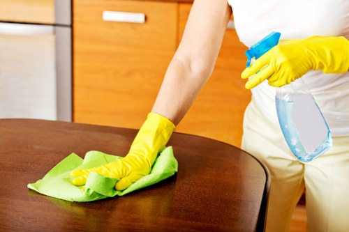 Professional domestic cleaning for kitchens and bathrooms in SW18